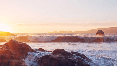 Circuit Board - professional stock photography