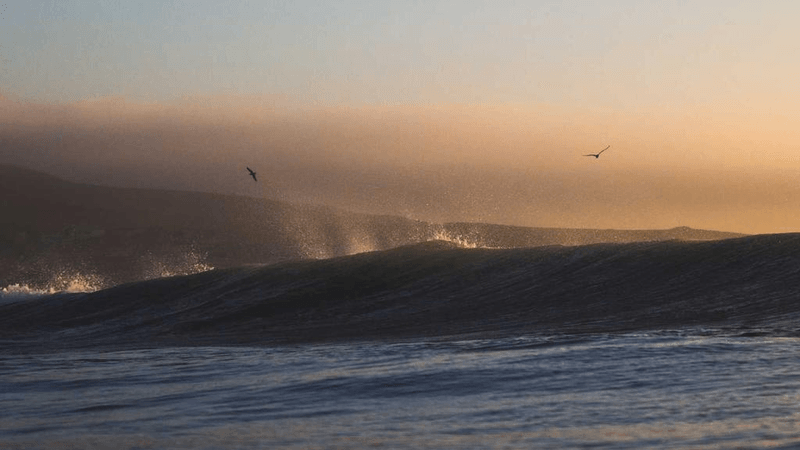 Circuit Board - professional stock photography