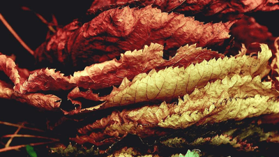 Iot Device - professional stock photography