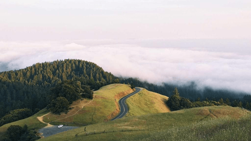 Monitor - professional stock photography