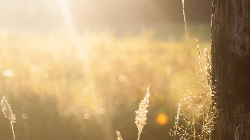 Monitor - professional stock photography