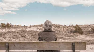 Software - professional stock photography