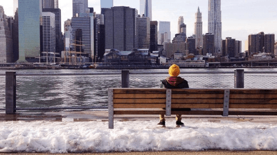 Software - professional stock photography